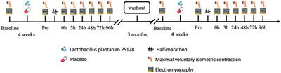 Effect of Lactobacillus plantarum PS128 on neuromuscular efficiency after a half-marathon